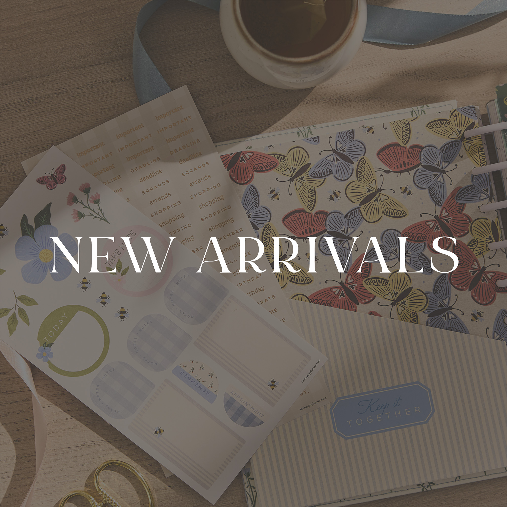 ```html
<img src="image.jpg" alt="A collection of stationery items including floral and butterfly designs, labeled with 'New Arrivals'.">
```