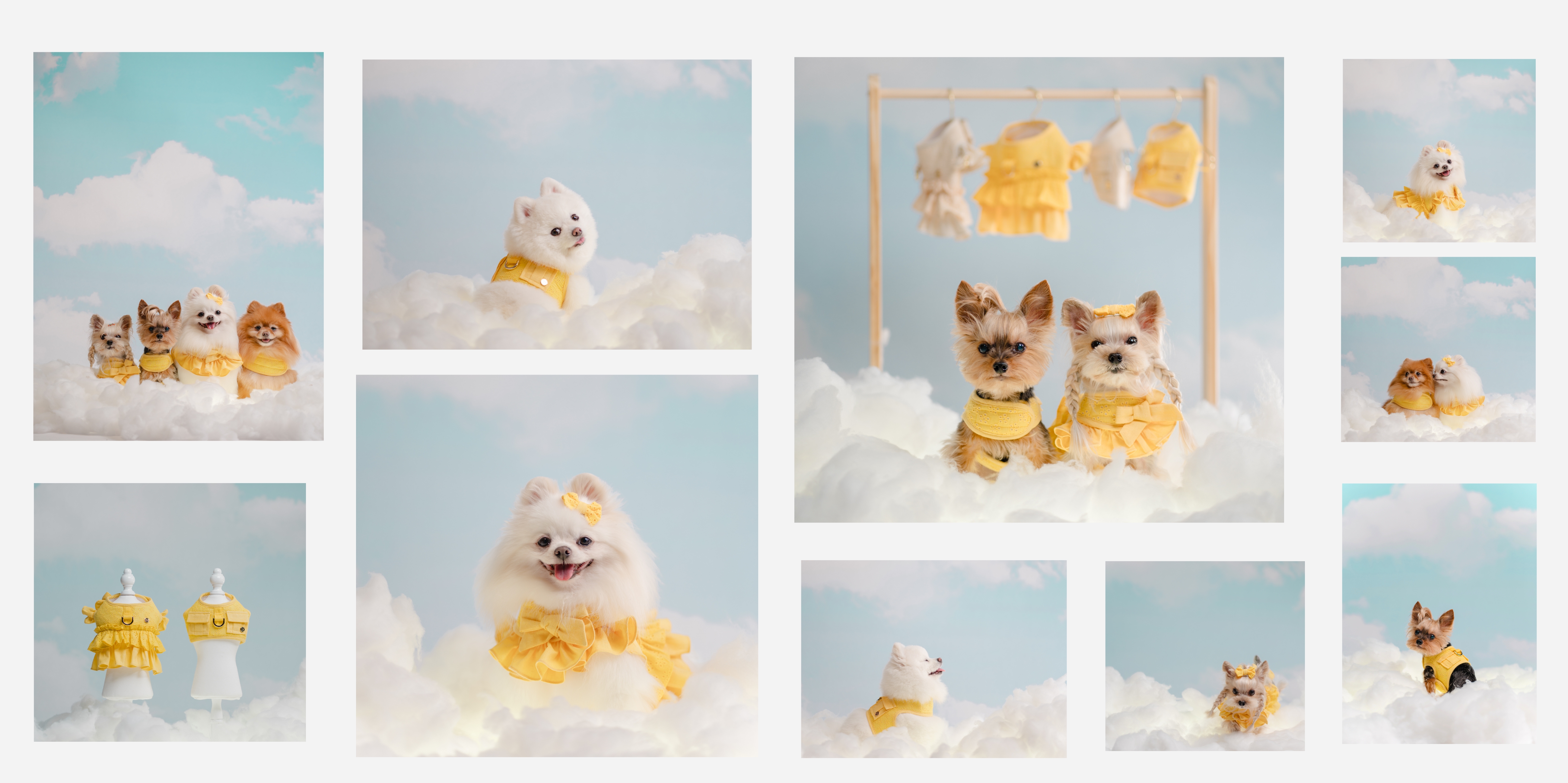 Collage of small dogs wearing yellow outfits on a cloud-like background. Includes two mannequins displaying yellow dog clothes, with a blue sky and fluffy clouds.