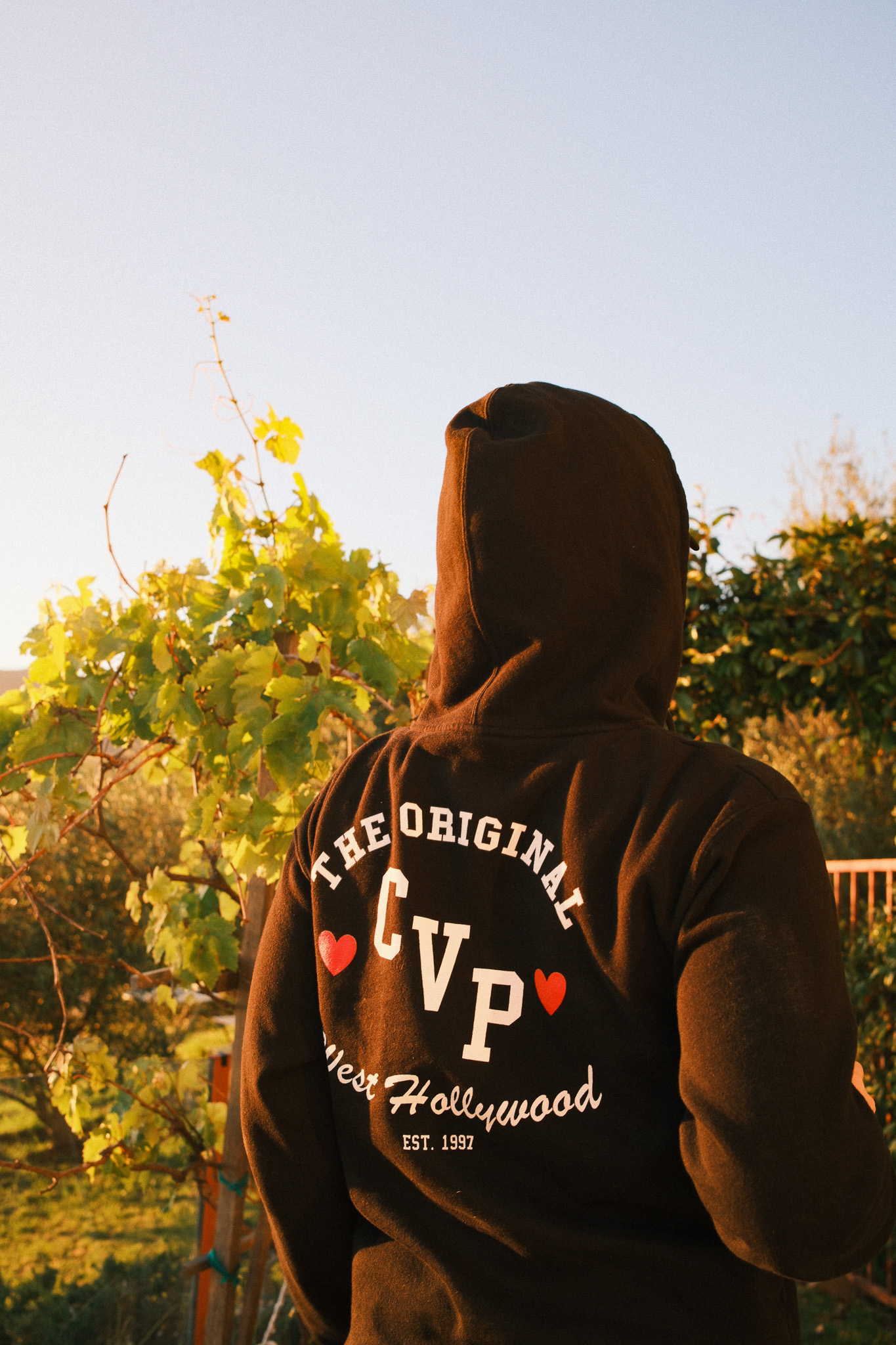 Person wearing black hoodie with "The Original CVP West Hollywood EST. 1997" text and red hearts, viewed from behind in a vineyard at sunset.