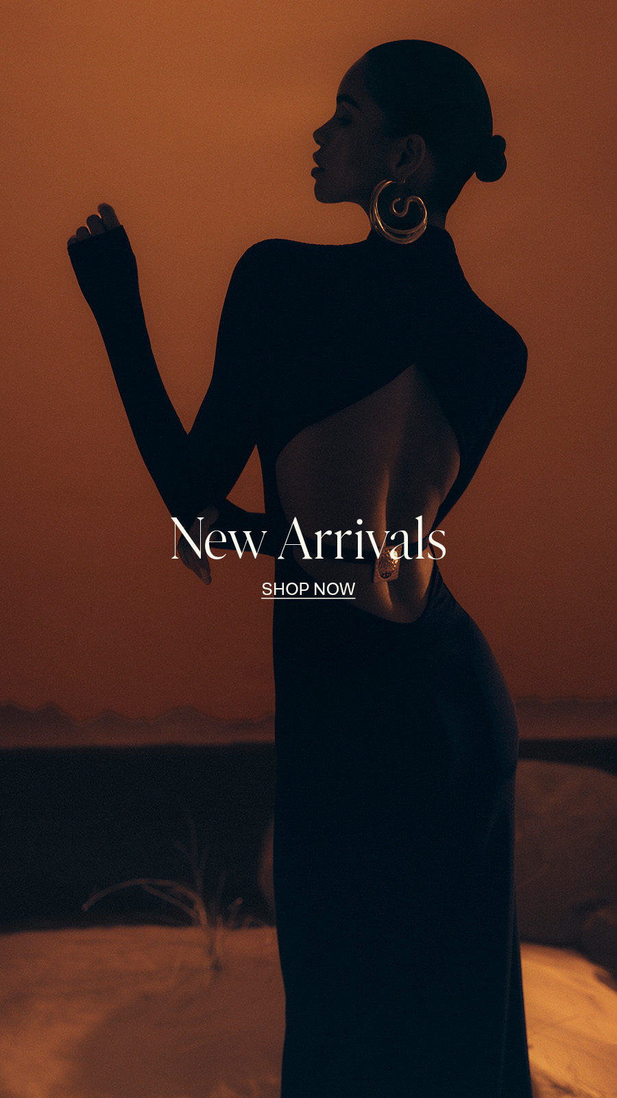 ```html
<img src="image.jpg" alt="Person in a sleek black backless dress with gold earrings, hair in a bun, blurred face, text 'New Arrivals, Shop Now' overlaid.">
```