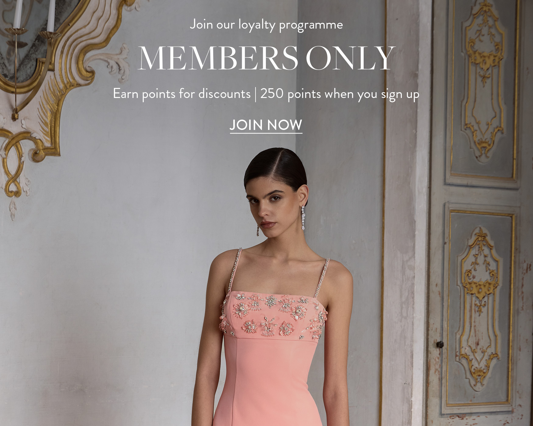 ```html
<img src="image.jpg" alt="Woman in elegant pink dress with floral embroidery, standing in ornate room with vintage decor. Text about loyalty program." />
```