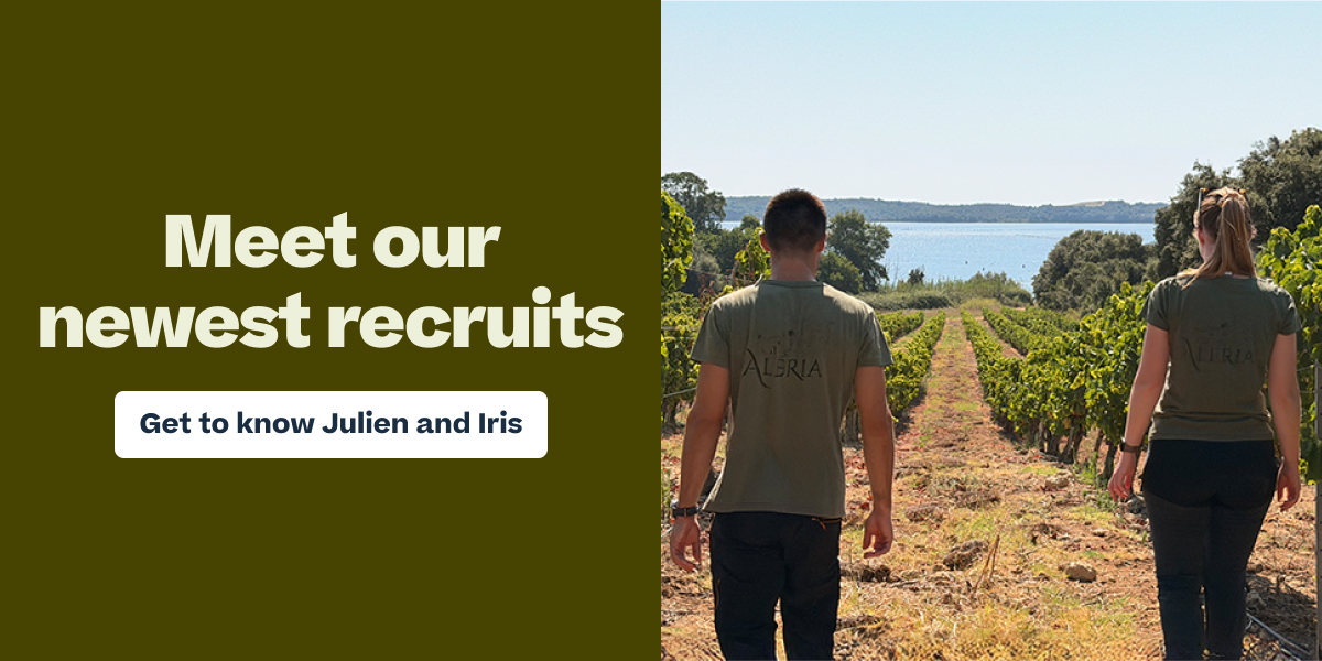 Two people in Aleria branded t-shirts walking through a vineyard with water visible in the background, alongside text "Meet our newest recruits"