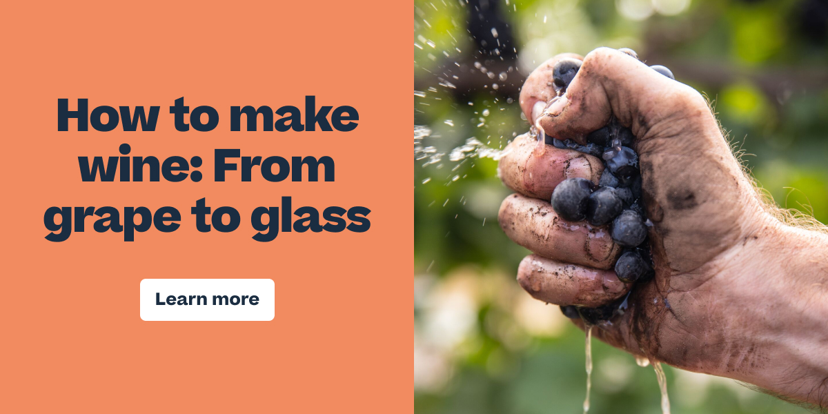 Here's an appropriate alt text for this image:

"Hands squeezing dark grapes with juice spraying, demonstrating wine-making process from fresh grapes"

This alt text:
- Accurately describes the main visual content (hands, grapes, juice)
- Remains concise at under 100 characters
- Provides context relevant to the accompanying text about winemaking
- Uses objective, descriptive language
- Avoids subjective interpretation
- Includes relevant keywords (grapes, wine-making, juice)