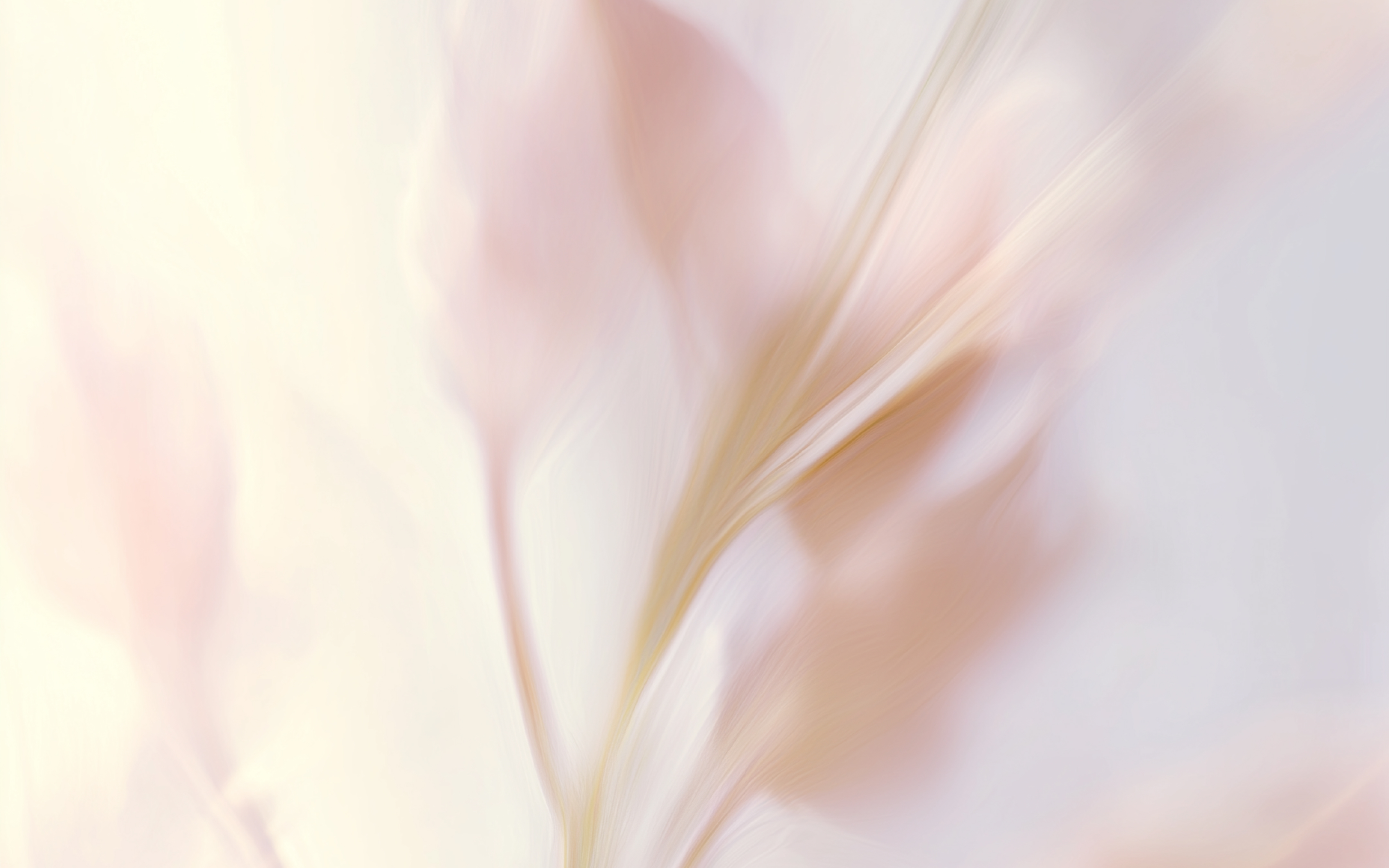 returns page background