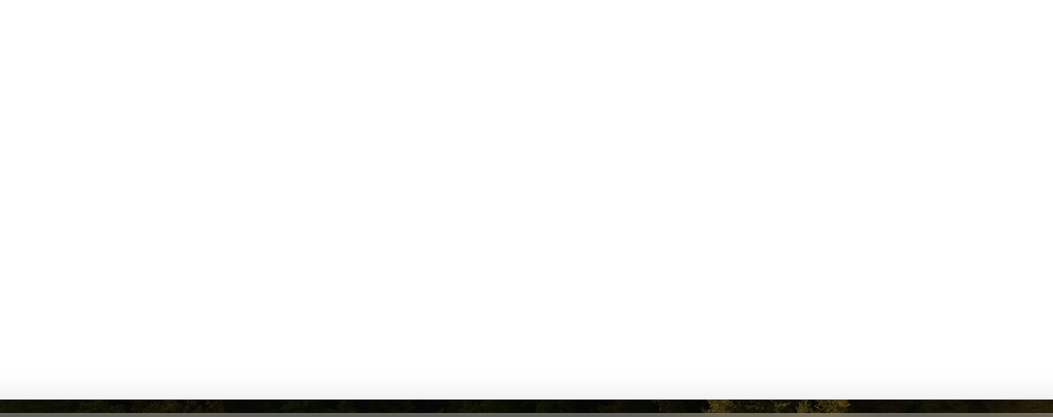 returns page background