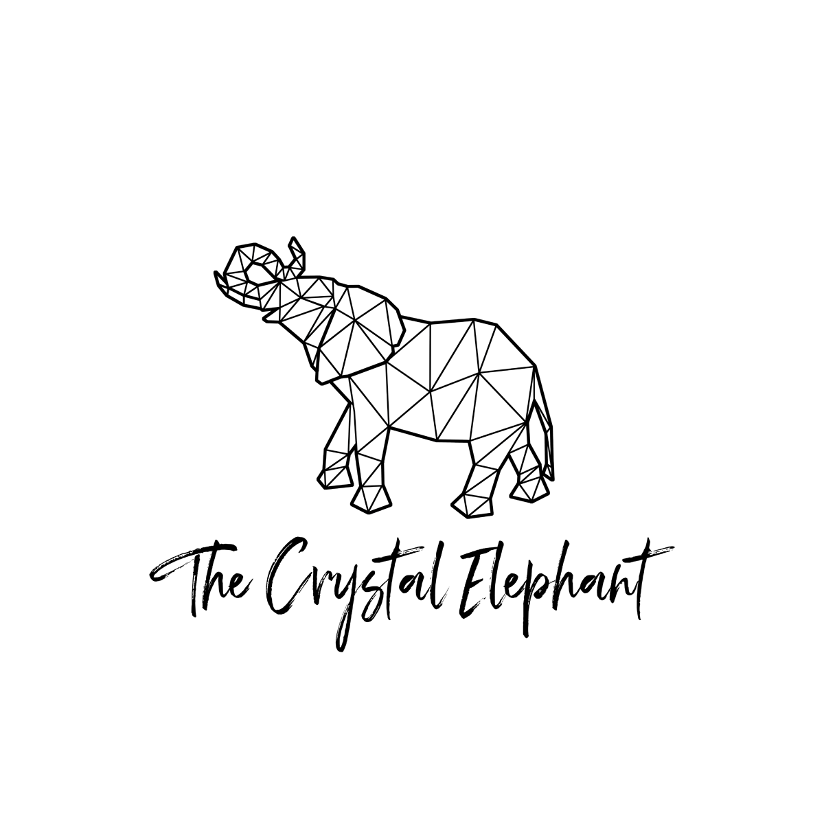 store_logo