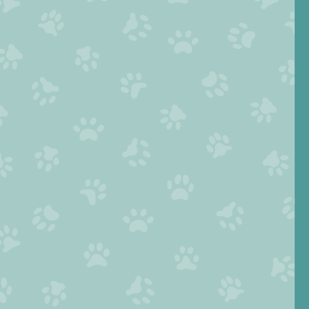 returns page background