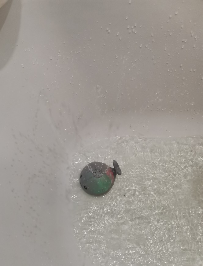 Badehval aktivert av vann