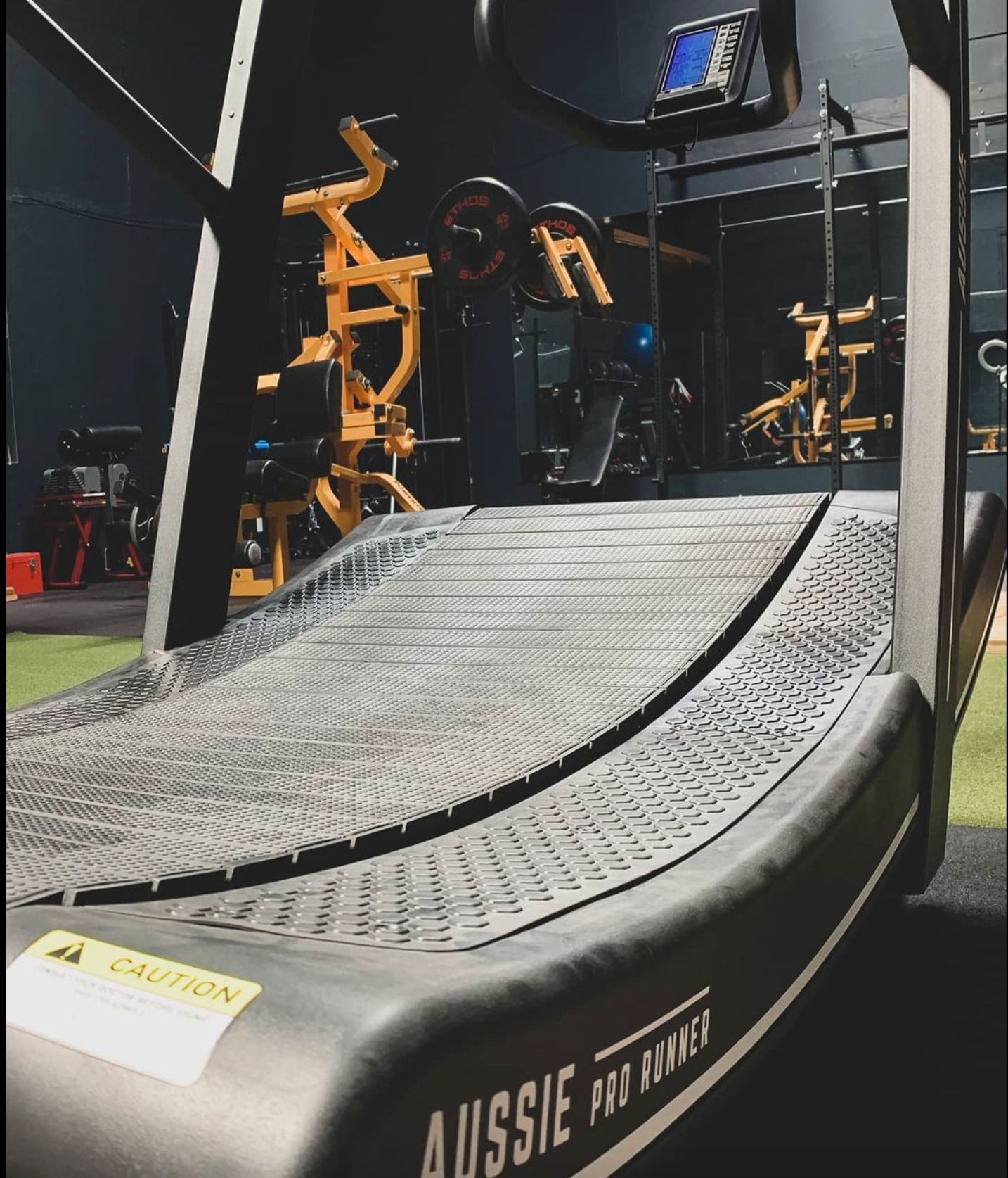 Jay P., Gym Owner